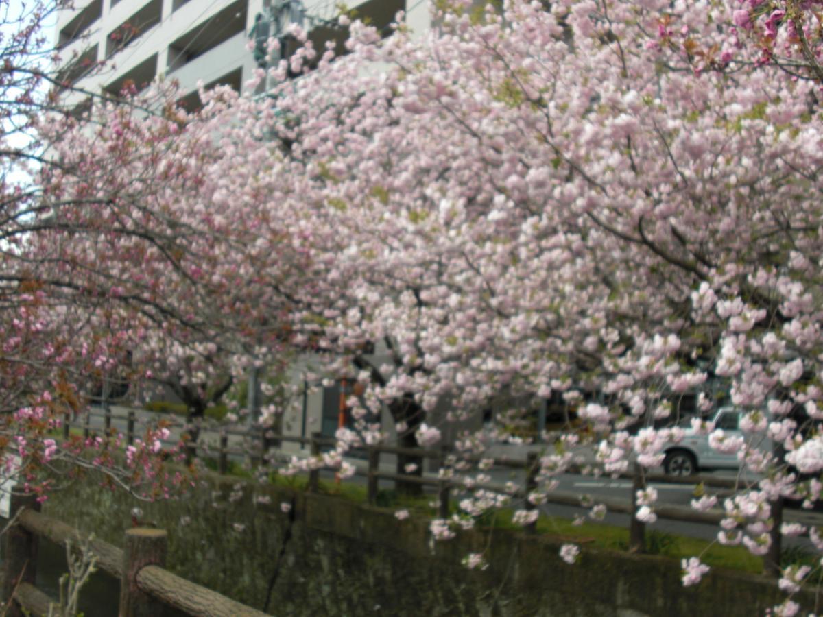 Plaza Hotel Fujinoi Hita Esterno foto